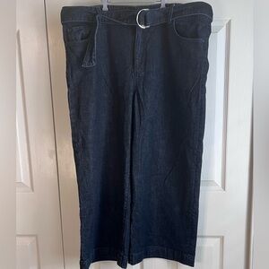 Ann Taylor Dark Wash Cropped Denim Jeans & Belt w/a Silver D- Ring Buckle Sz 16